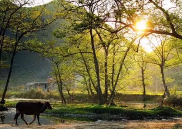 鋼結構裝配式建筑 建設品質鄉村美住宅(圖1) 鋼結構裝配式建筑 建設品質鄉村美住宅(圖1)