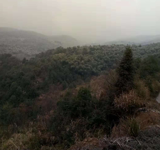 有故鄉者擁有幸福 ，你在他鄉還好嗎？(圖2)