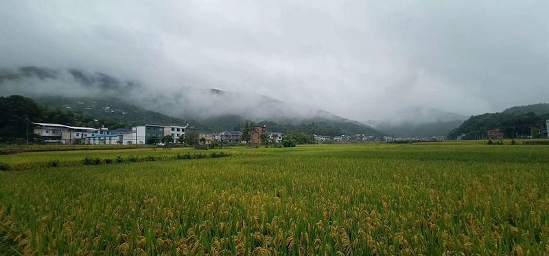 “梅雨季”看輕鋼別墅如何抵御南方的霉雨天?會(huì)生銹?不可能!(圖1) 睿婕輕鋼別墅