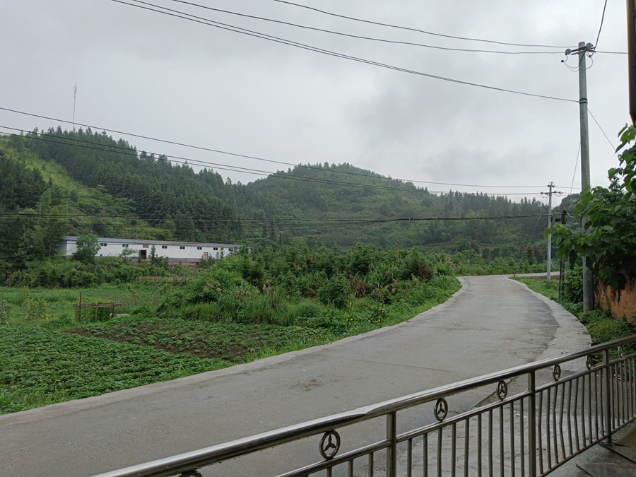 回歸自然，遠離塵囂：暢享寧靜農村生活